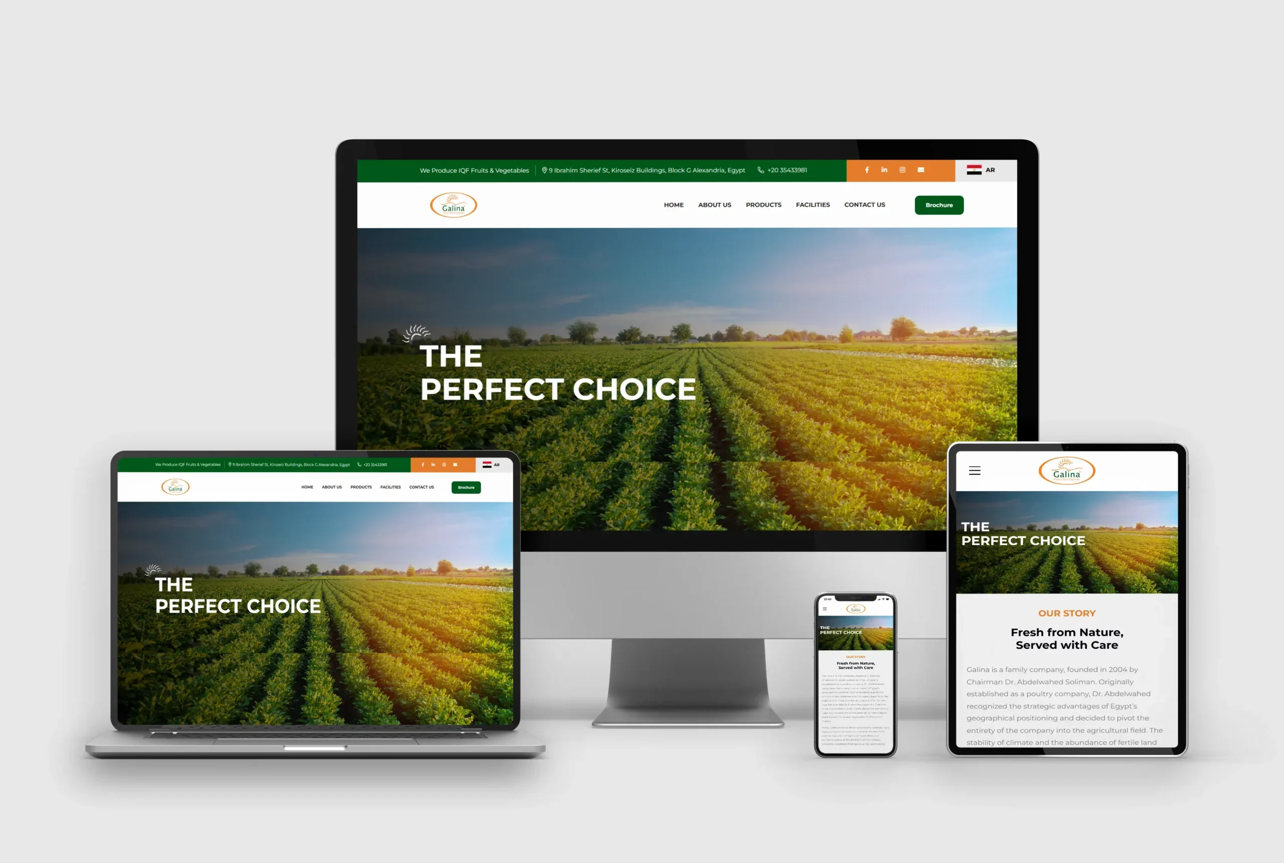 Galina – IQF Fruits & Vegetables Export